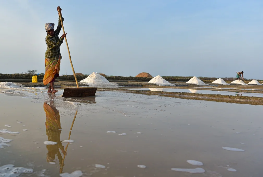 A salt-pan worker harvests salt from an evaporation pond in Isakapalle, Nellore district.